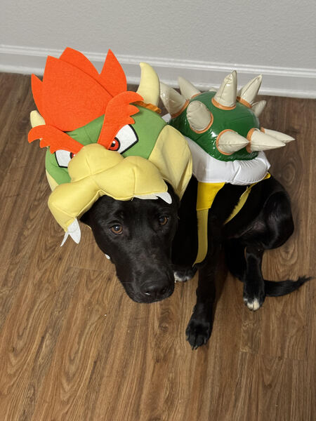 Bowser