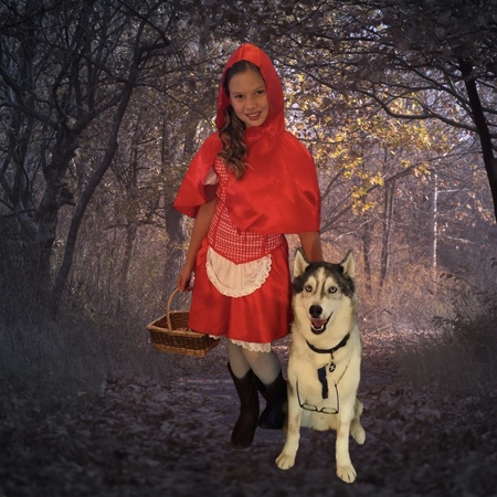 Little Red & Her (Not So) Big Bad Wolf 