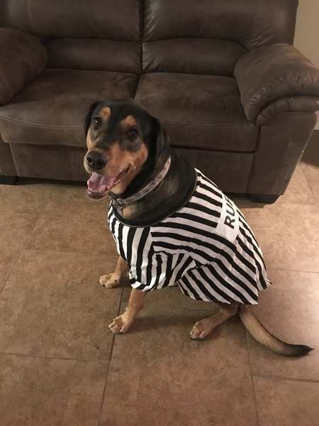 RUFFEREE