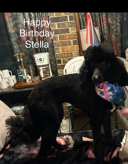 Stella