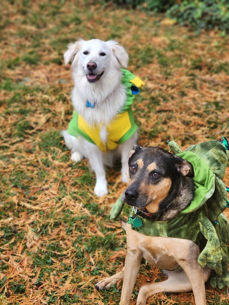 Millie (Little Foot) and Maggie (Sarah)