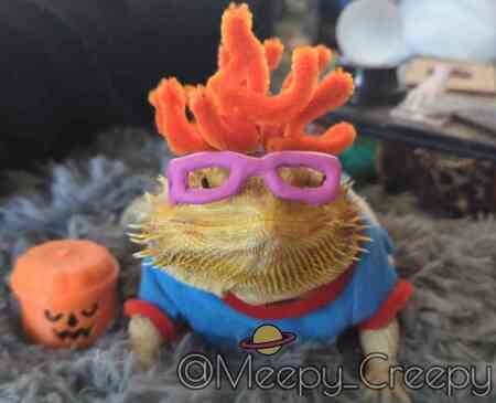 Evie as Chuckie Finster 