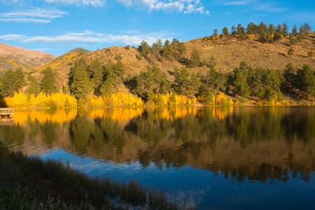 Peaceful Reflections