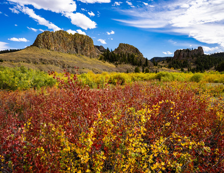 Castle Rock and Color