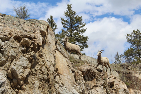 Midday Climb