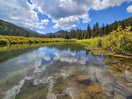 Flowing Reflection