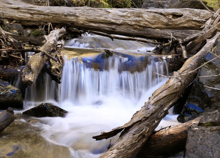 Window on the river