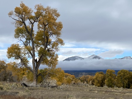 fall morning near the farm