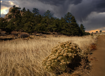 Approaching Storm