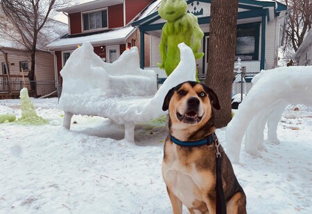 Rocky's Audition Photo for Next Grinch Movie