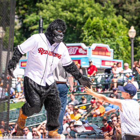 Rally Gorilla