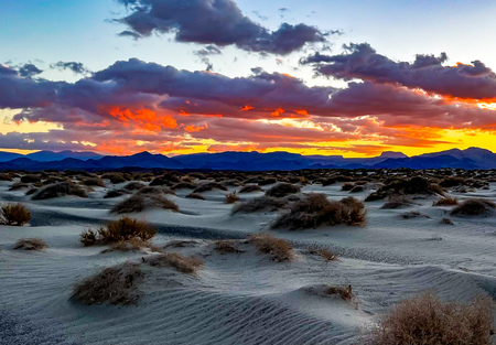 Baja Sunset