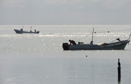 Fishing on the Gulf of Mexico