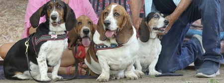 Trinity, Louie, Bubby & Lilly 