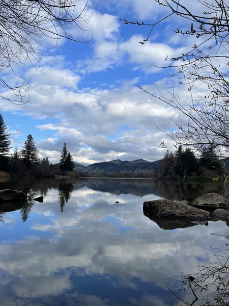 Head in the Spring Lake clouds