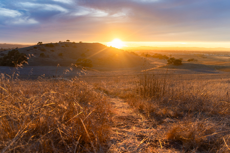 Gold in the Hills 