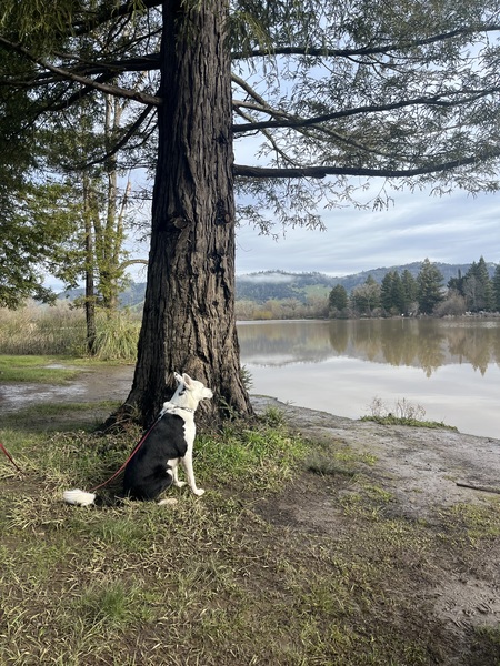 Sophia’s sunday stroll