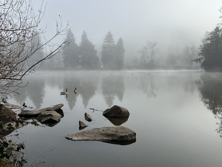 Early January morning at Spring Lake #2