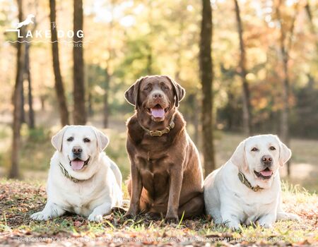 DELILAH, SAMMIE & ELLIE MAE