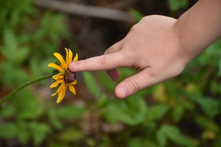 Innocence in Bloom