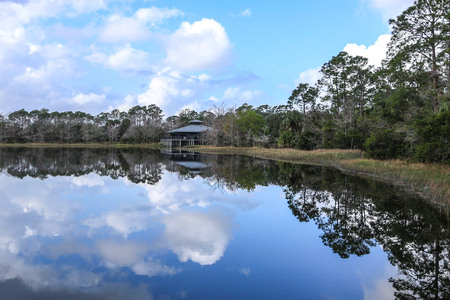 A Glassy Lake at Grassy Waters