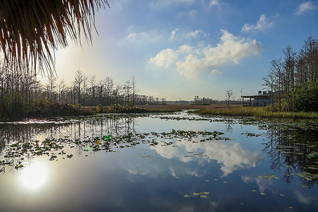 Sun Rising  over Grassy Waters