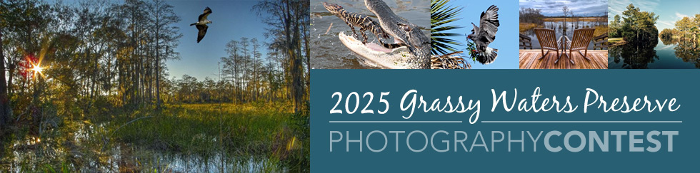 2025 Grassy Waters Preserve Photography Contest