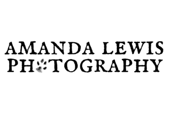 Amanda Lewis Photography