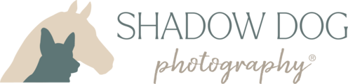 Shadow Dog Photography