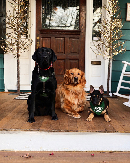 Daphne, Apollo, and Avery