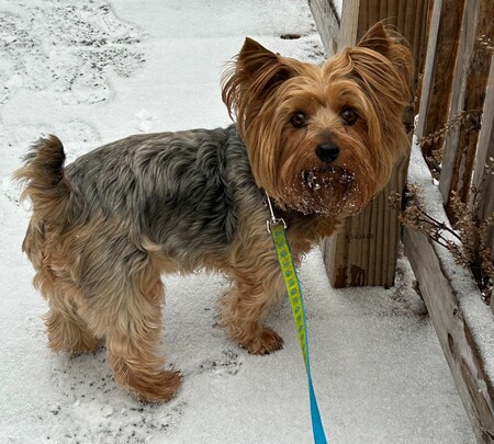 Tina Turner aka "Turner"