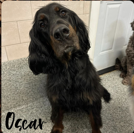 Oscar