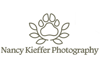 https://nancykiefferphotography.com/