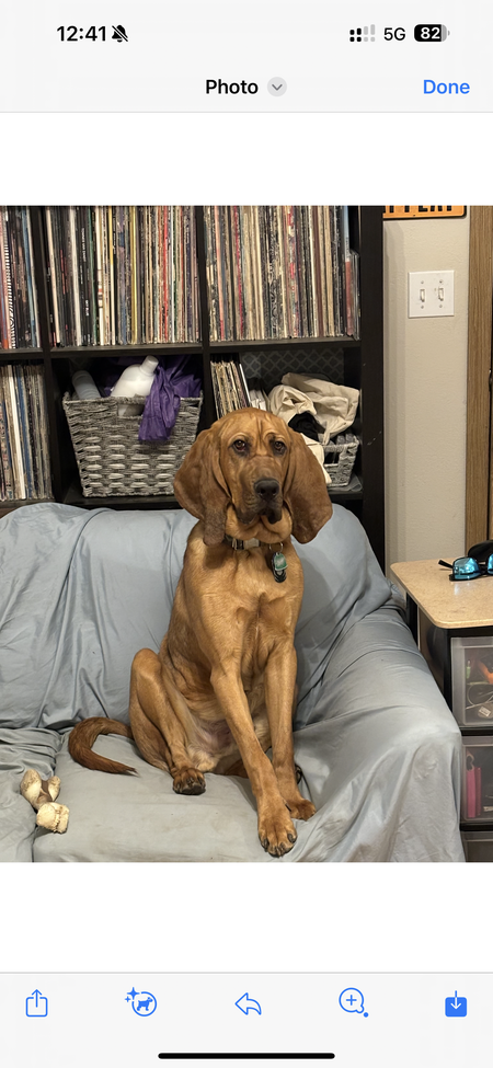 Baylor