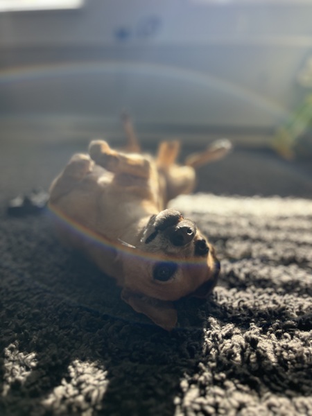 Benny