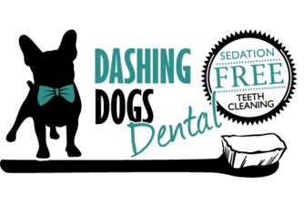 https://dashingdogsdental.com/