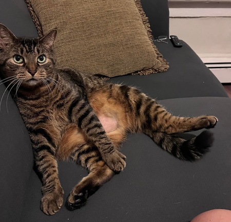 Winston