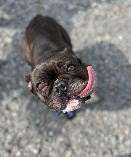 Gus