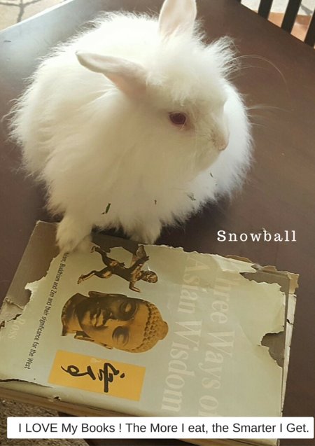 Snow Ball