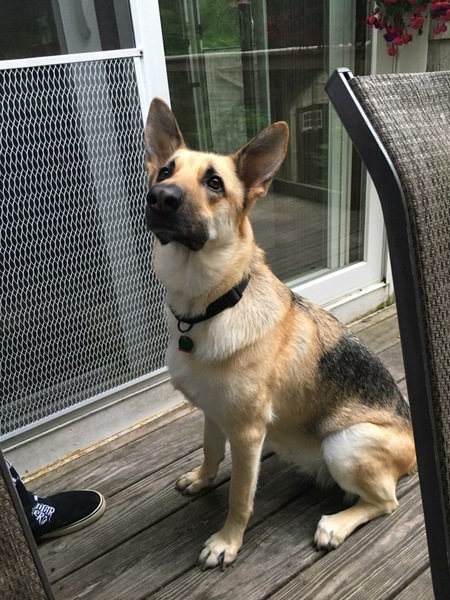 Sadie