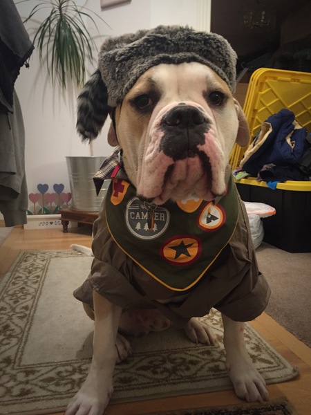 Hank the Boy Scout