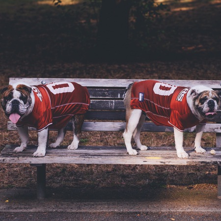 Hank and Ruby