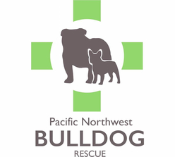 http://www.pacificnorthwestbulldogrescue.org/