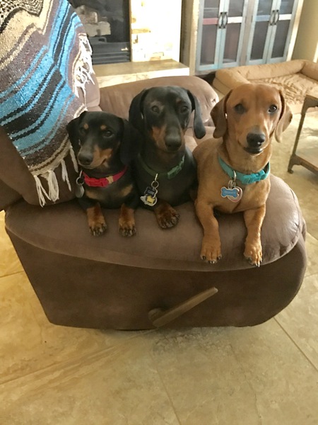 Maci, Clyde and Mikah