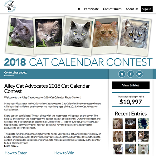 Alley Cat Advocates Calendar Contest Best Cat Cute - 